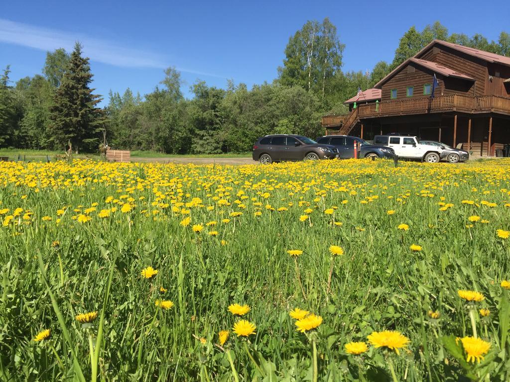 Bed & Breakfast Moose Manor Fairbanks