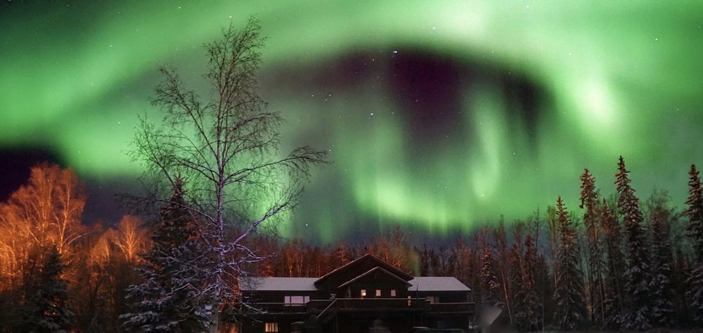 Moose Manor