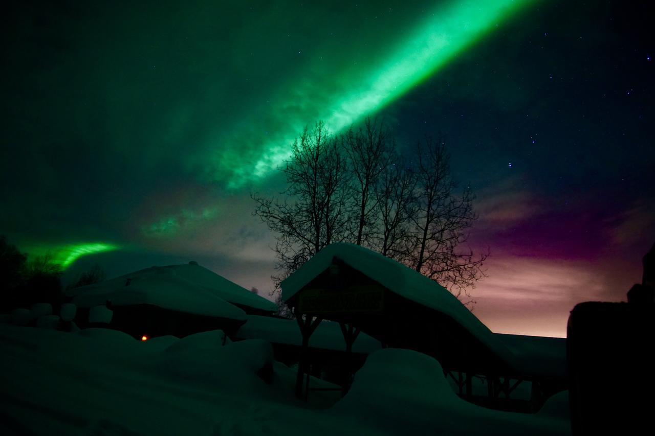 Moose Manor Bed & Breakfast