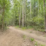 The Goldstream Valley View Cabin