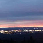 Ester Dome- Scenic Views