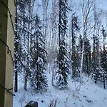 Springwater Retreat