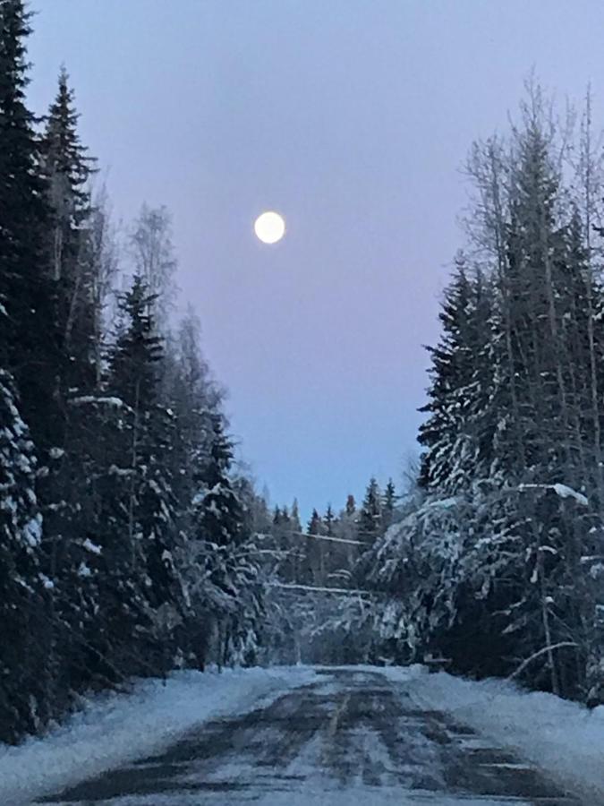 Billie's Backpackers * Fairbanks