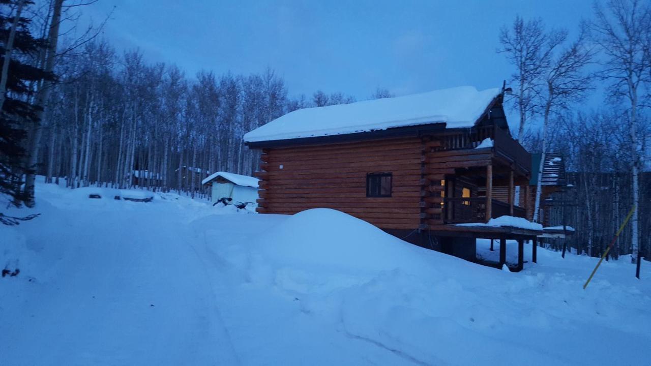 Wildmoon Holiday home