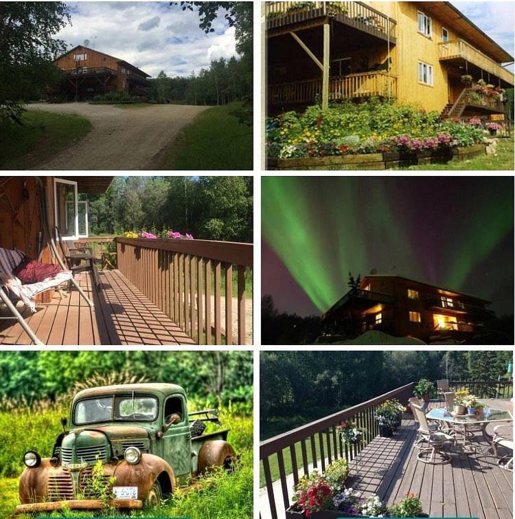 Bed & Breakfast Alaska Grizzly