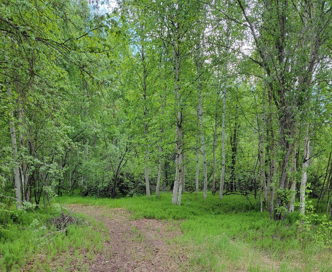 Alaska Grizzly Bed & Breakfast