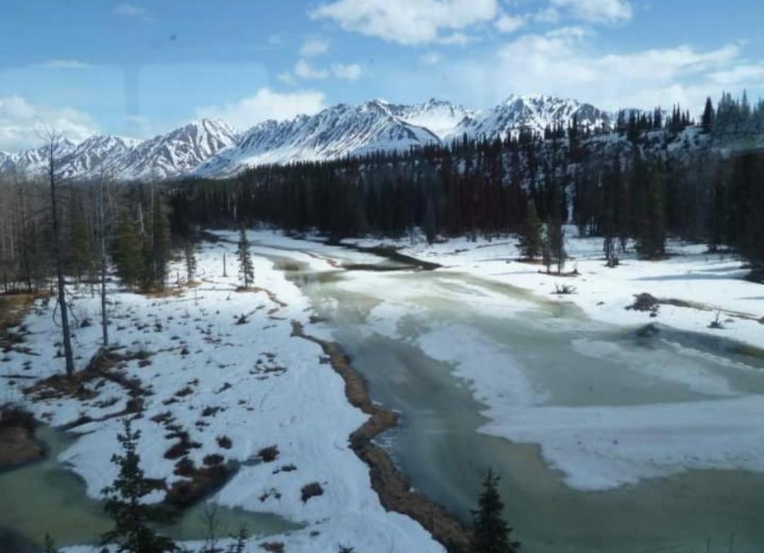 Bed & Breakfast Alaska Grizzly 3*