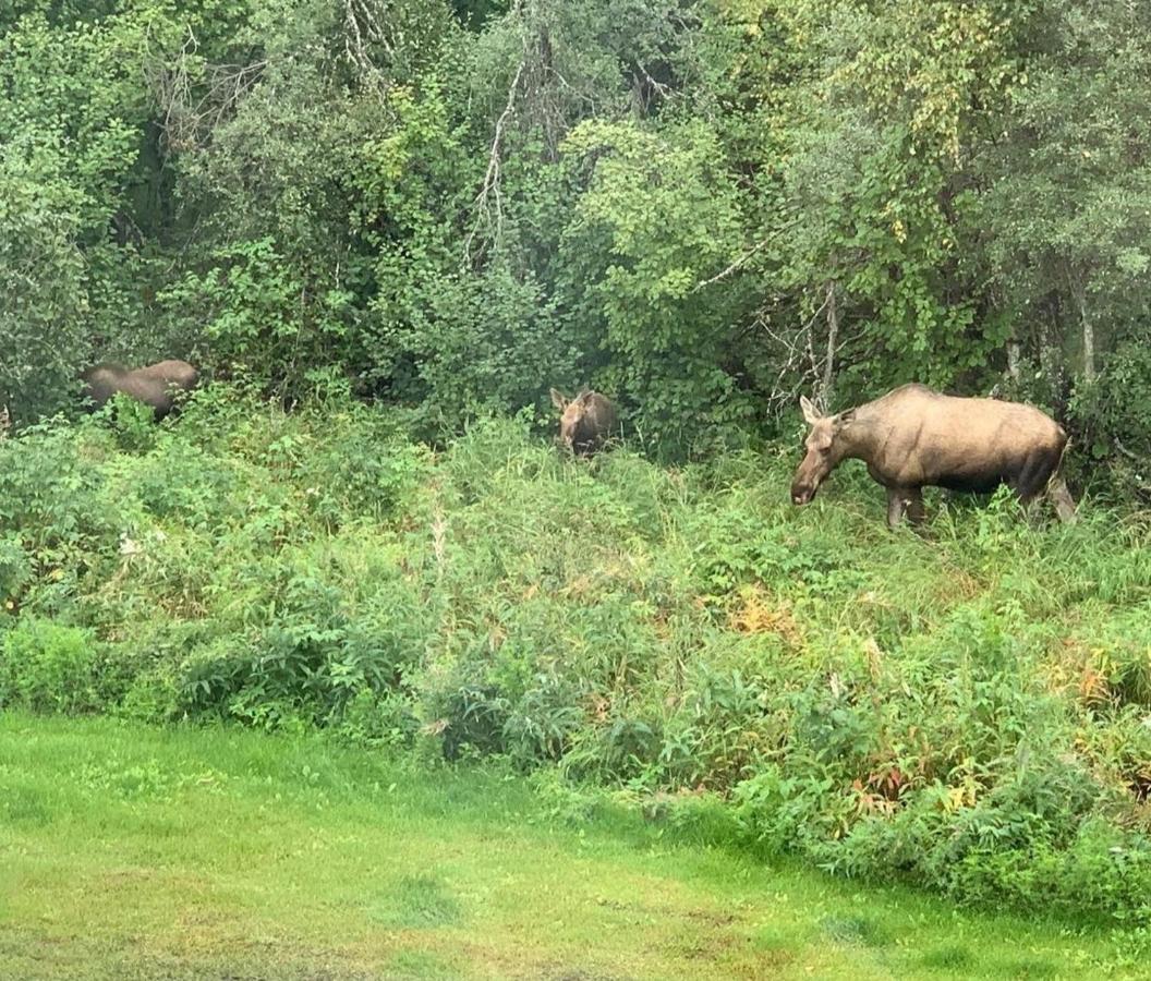Alaska Grizzly Bed & Breakfast 3*