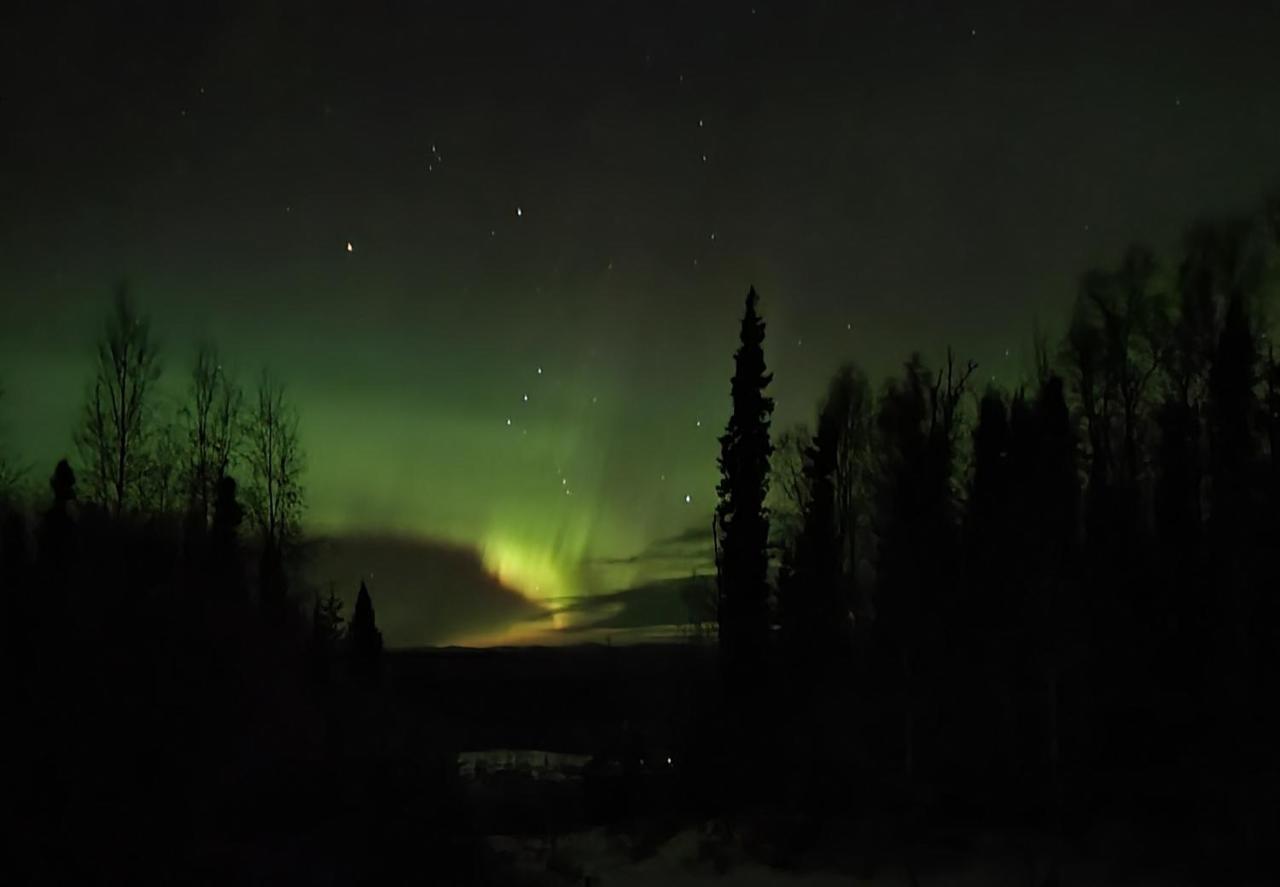 Alaska Grizzly Bed & Breakfast