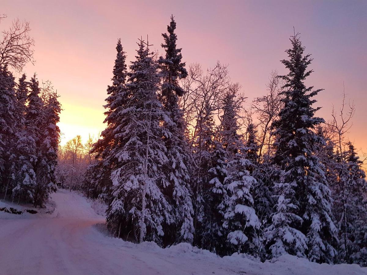 Northwoods Guest house Fairbanks