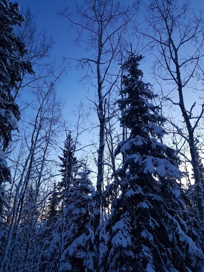 Northwoods * Fairbanks