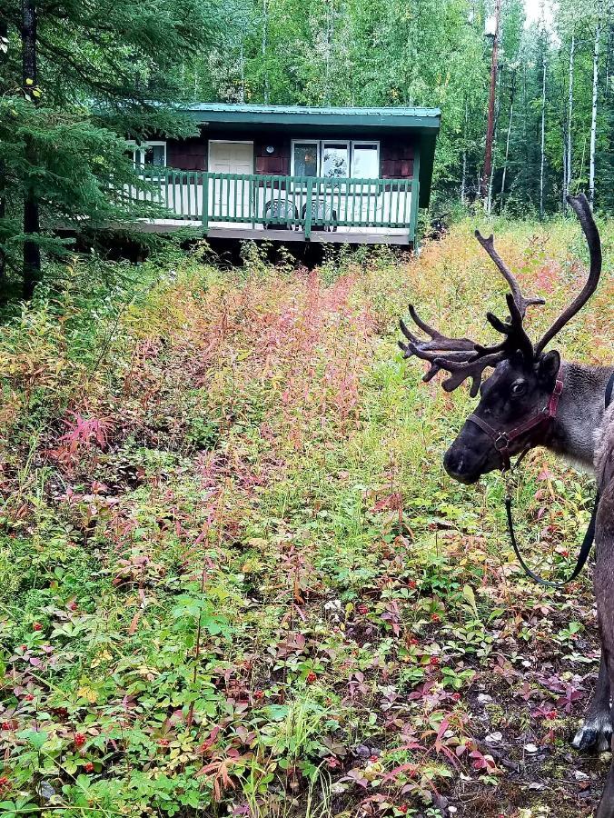 Northwoods