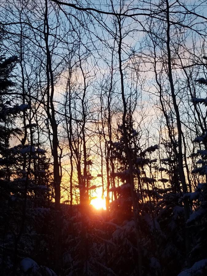 Northwoods * Fairbanks