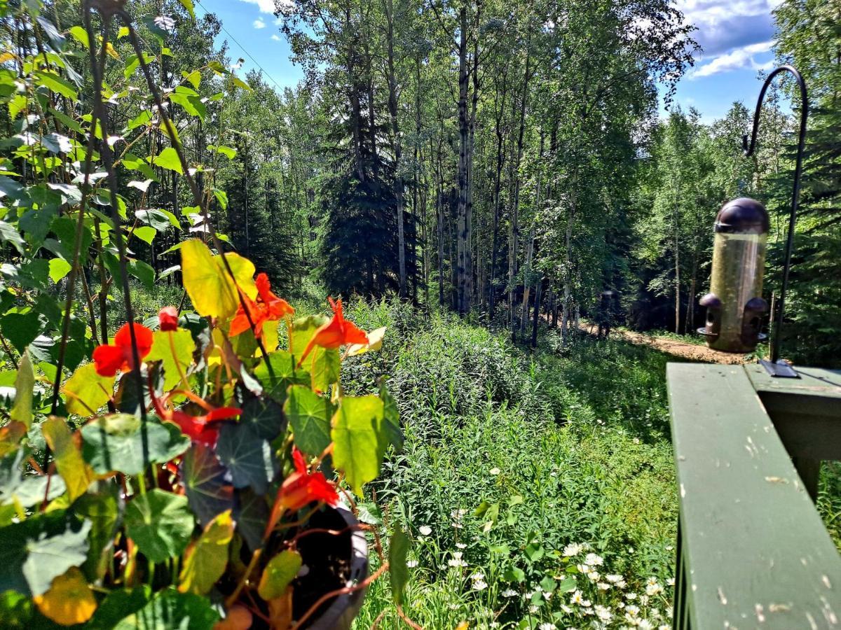 Northwoods Guest house Fairbanks