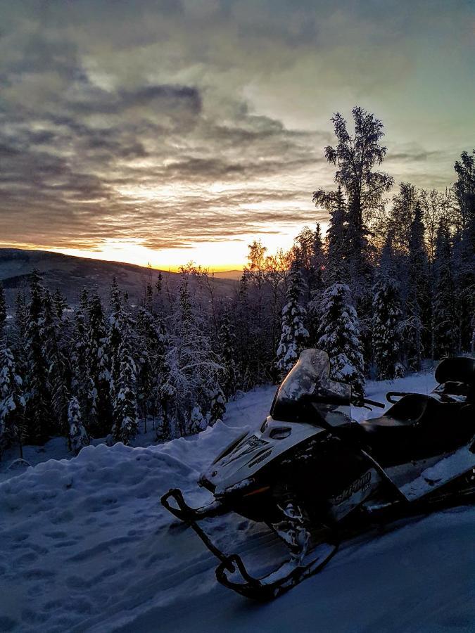 Northwoods