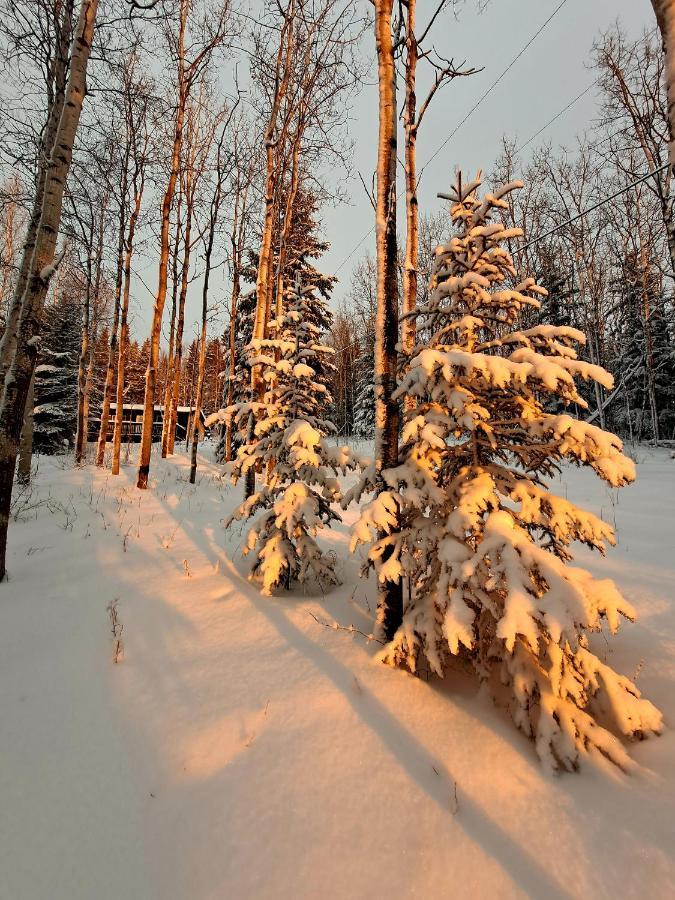 Northwoods Guest house *