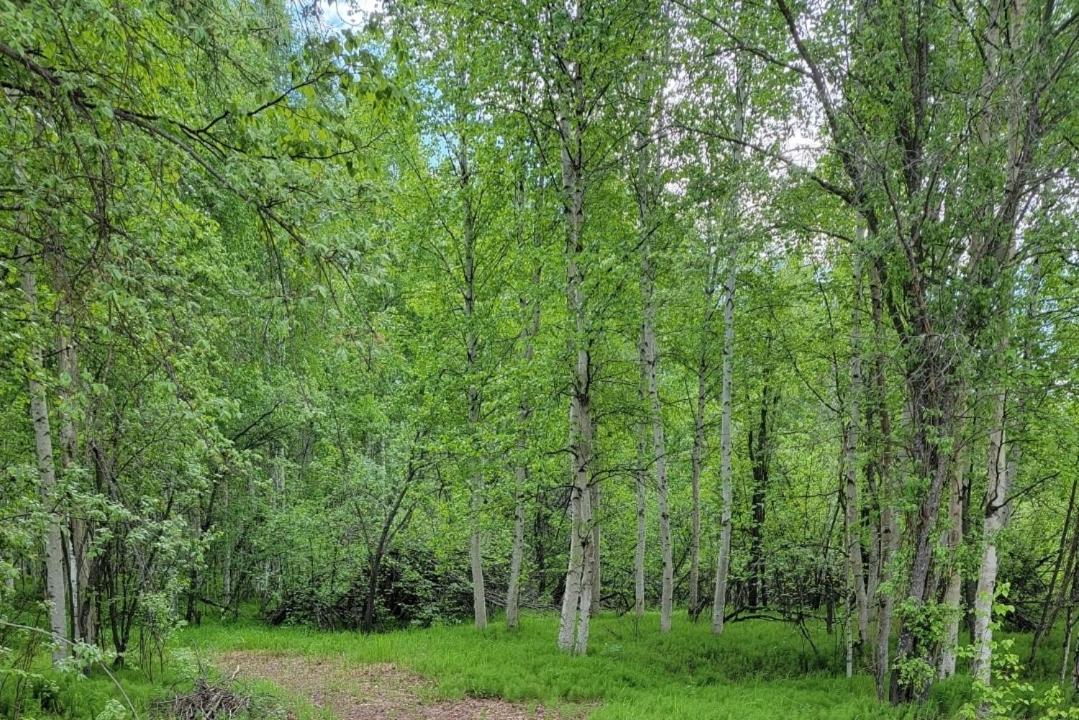 Alaska Grizzly Bed & Breakfast Fairbanks