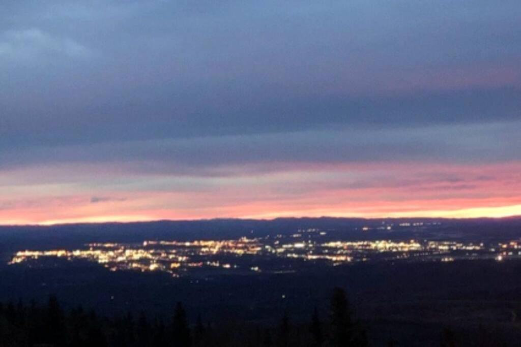 Ester Dome- Scenic Views Apartment Fairbanks