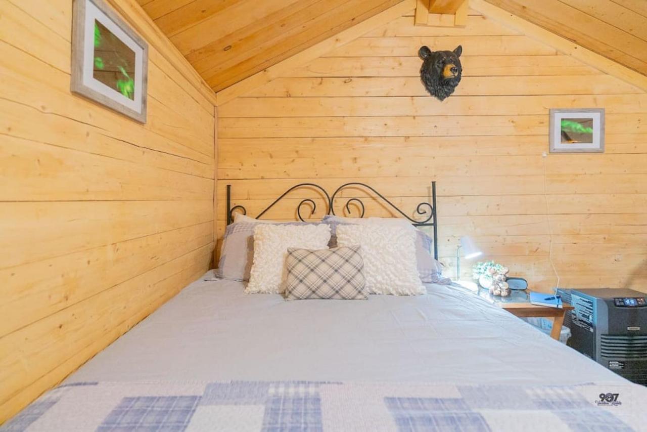 Log Dry Cabin| Aurora Views!