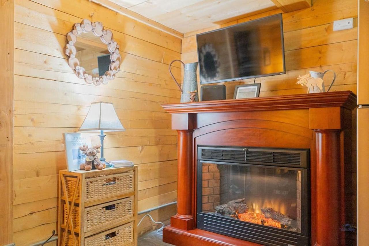 1 Bd. Deluxe Log Dry Cabin| Views Northern Lights!