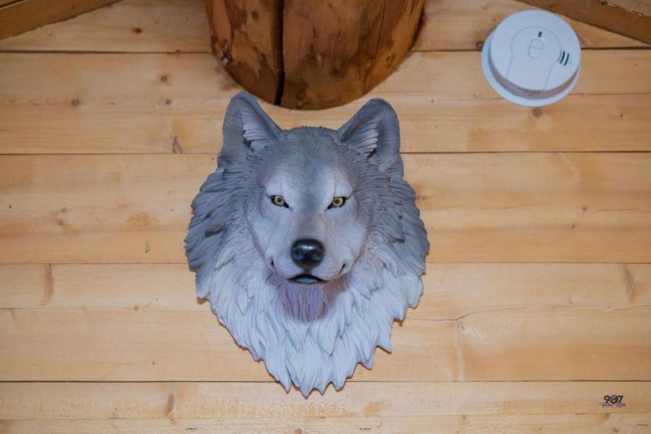 1 Bd. Deluxe Log Dry Cabin| Views Northern Lights! Holiday home *