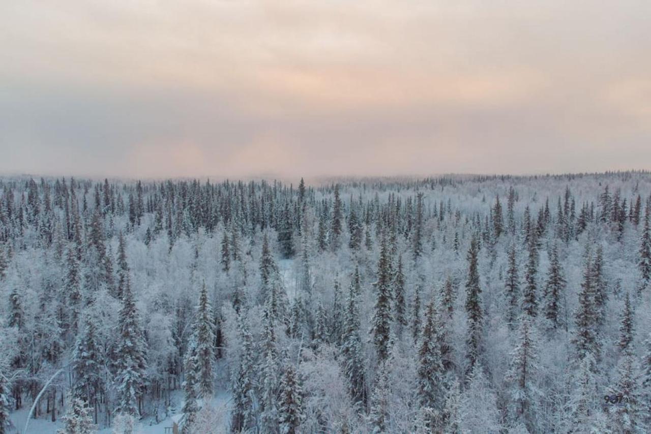 Log Dry Cabin| Aurora Views! * Fairbanks