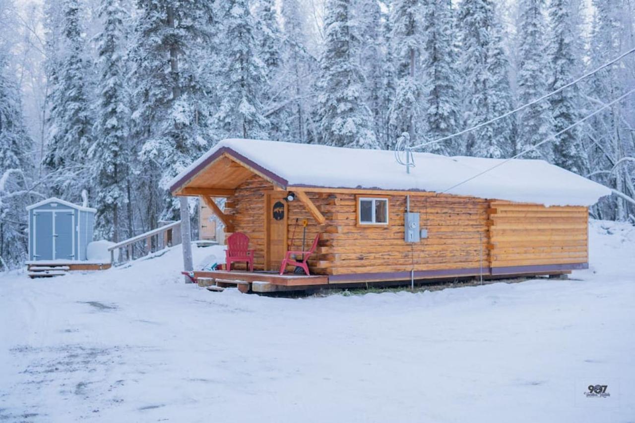 1 Bd. Deluxe Log Dry Cabin| Views Northern Lights!
