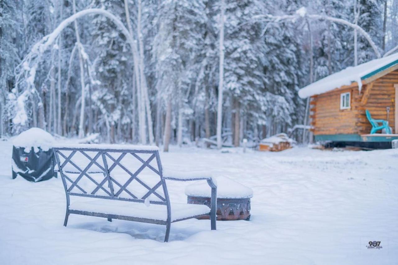 Log Dry Cabin| Aurora Views! Holiday home *