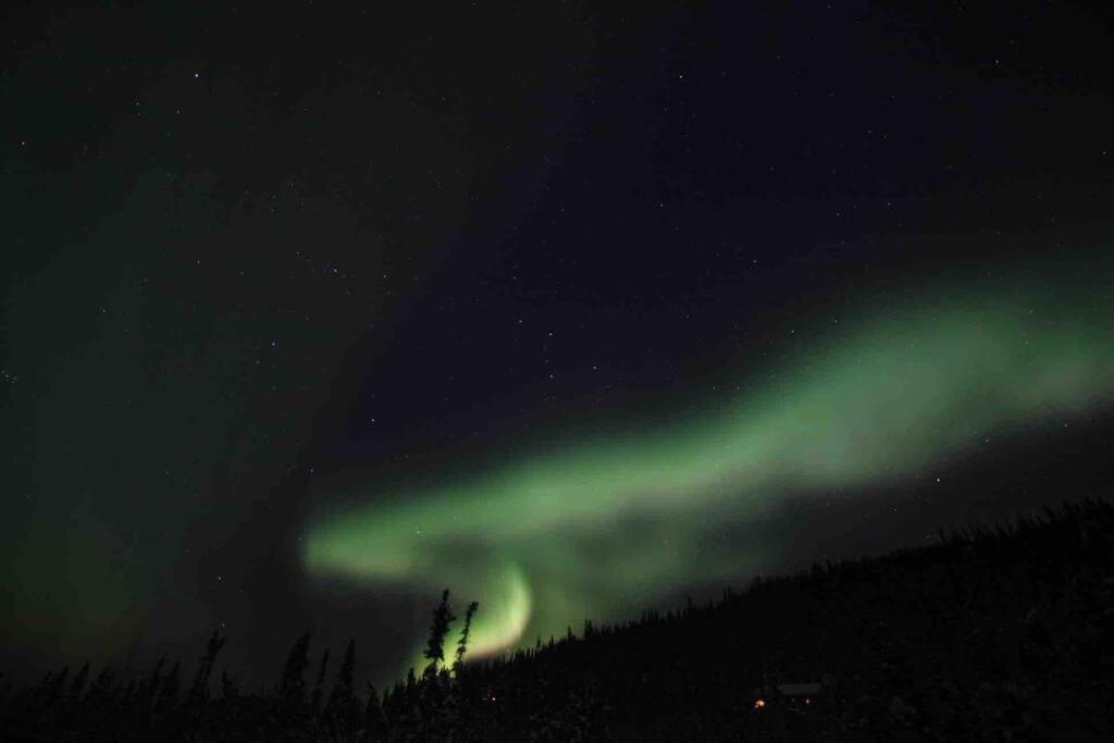 Newly Remodeled Relaxing Near Downtown * Fairbanks
