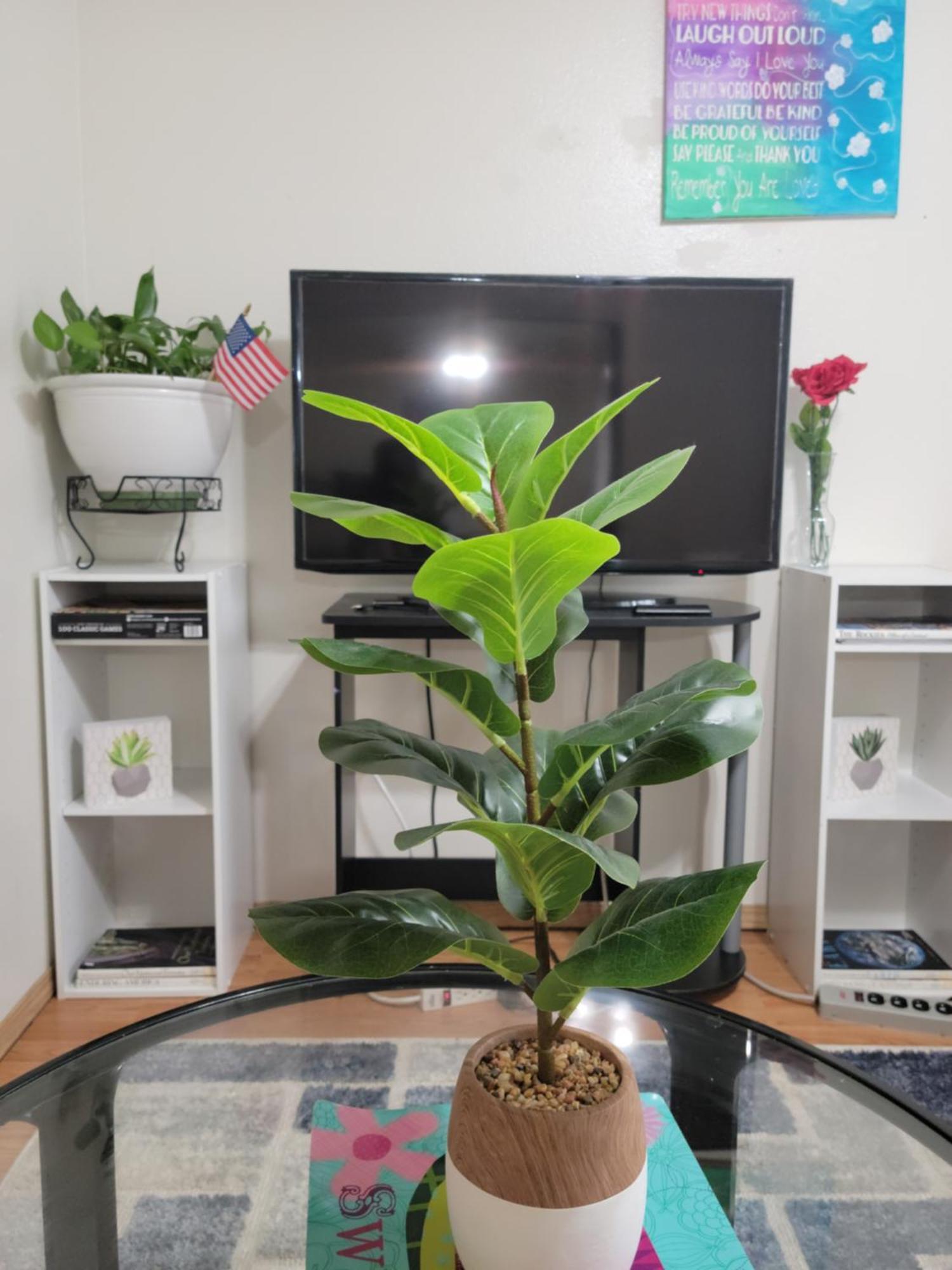 Apartment Rjn
