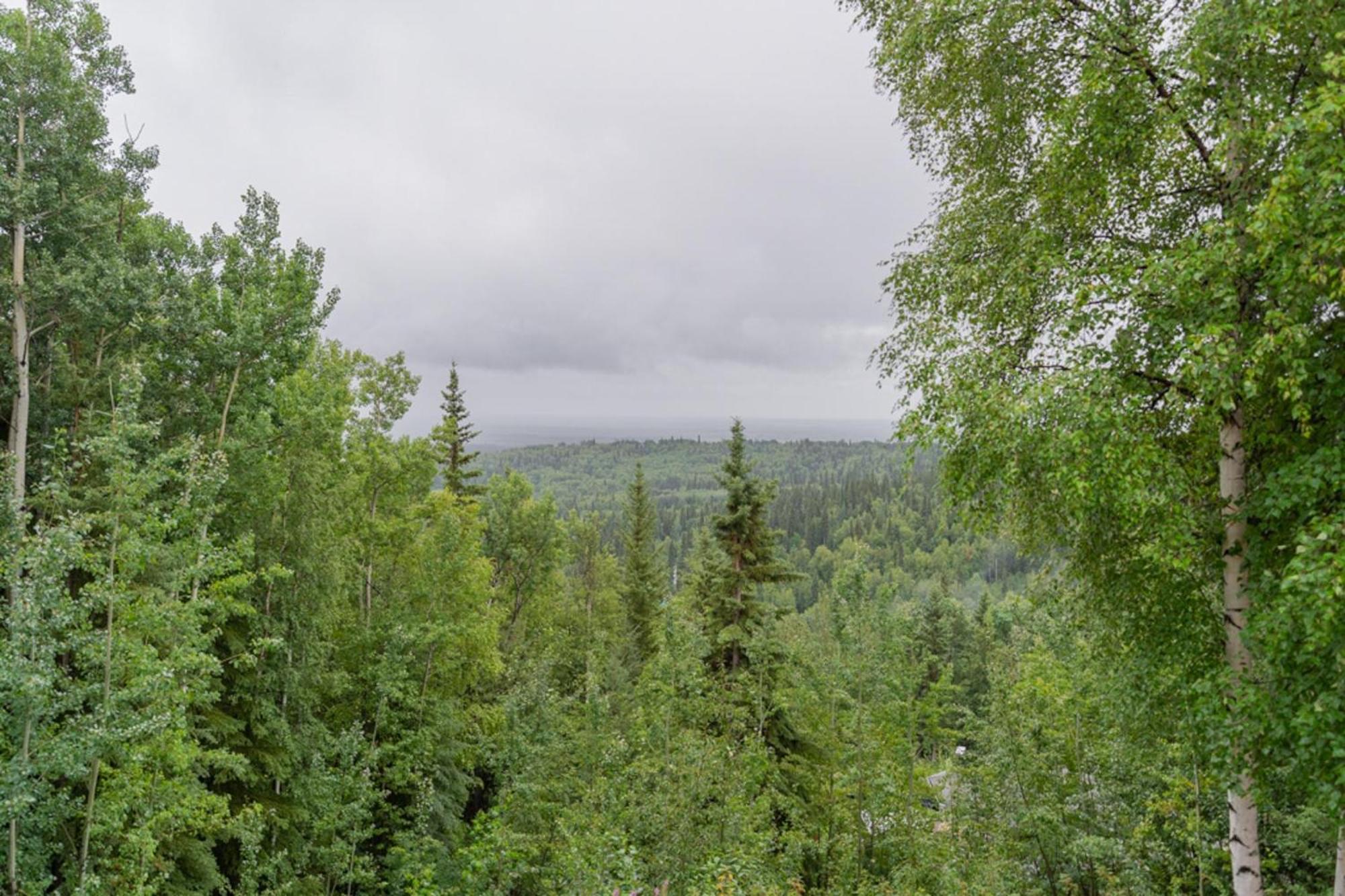 The Chetana Ridge