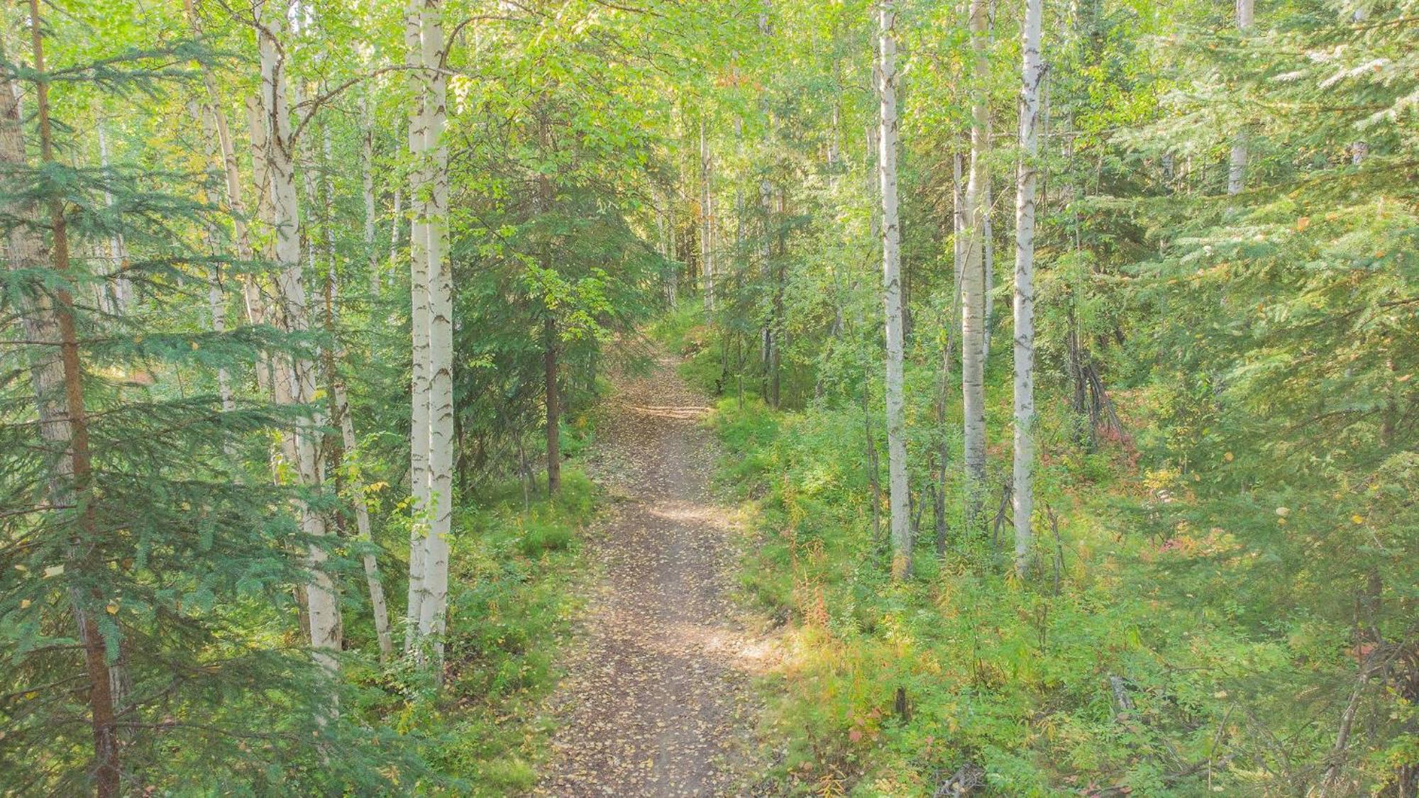 The Skarland Trail * Fairbanks