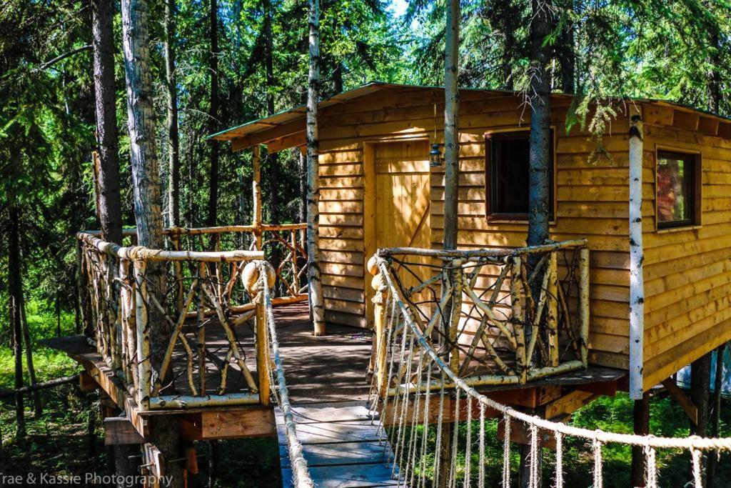 Sven's Basecamp *