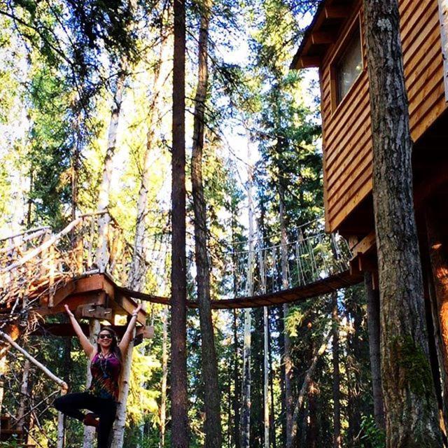 Sven's Basecamp Fairbanks