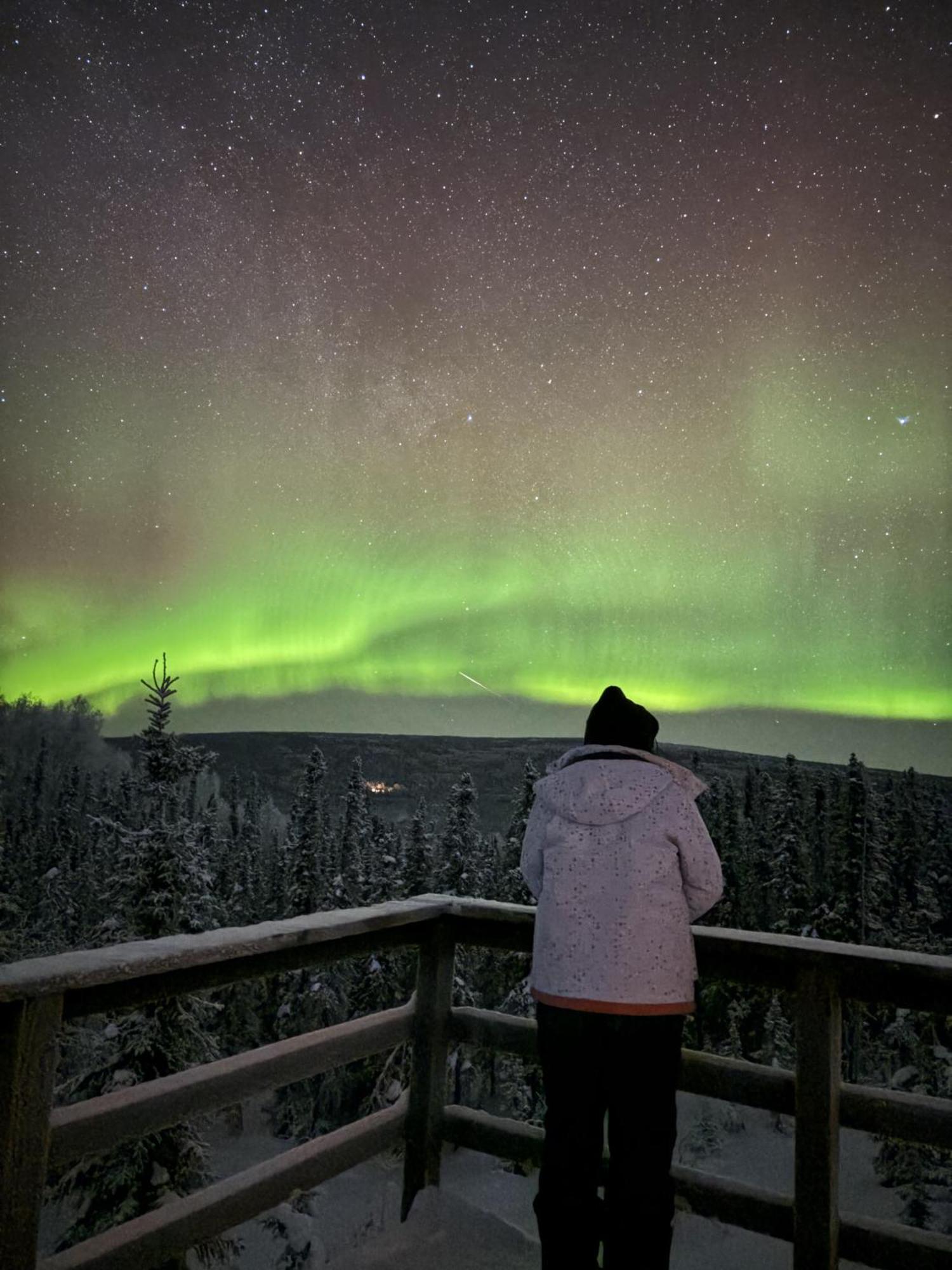 Billie's Backpackers * Fairbanks