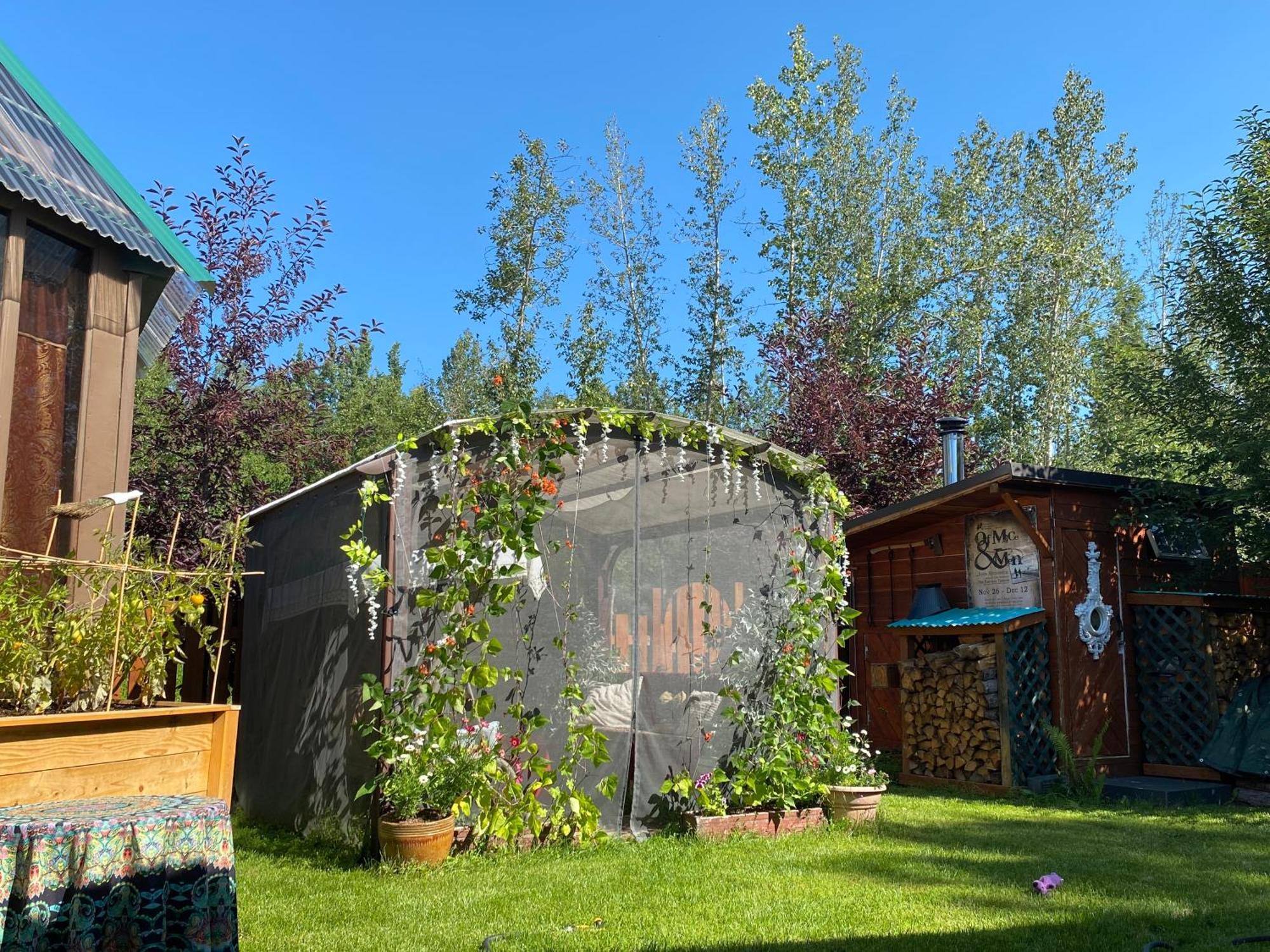 Hostel Billie's Backpackers