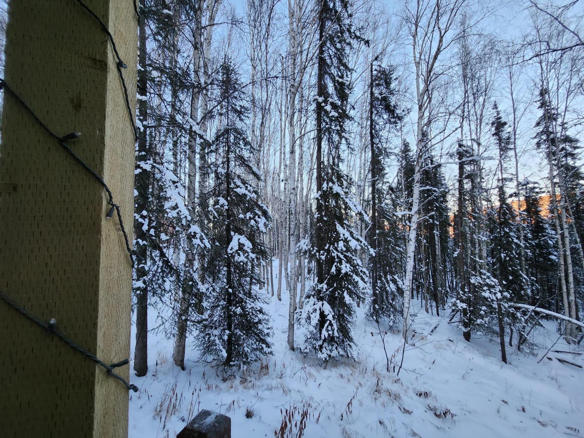 Springwater Retreat