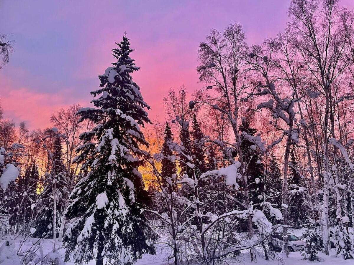 Apartment Dwell In Alaska D *