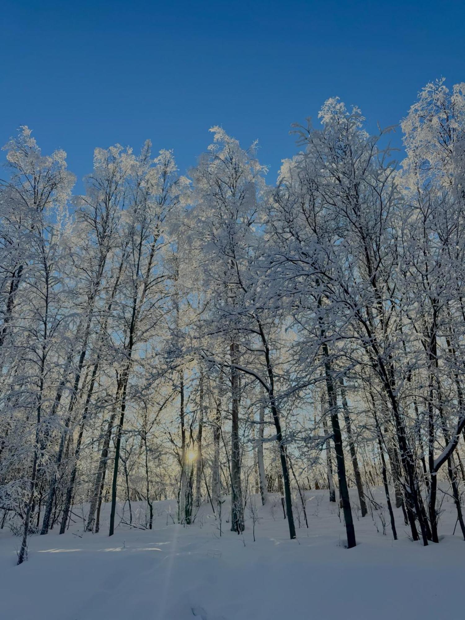 Dwell In Alaska E Fairbanks