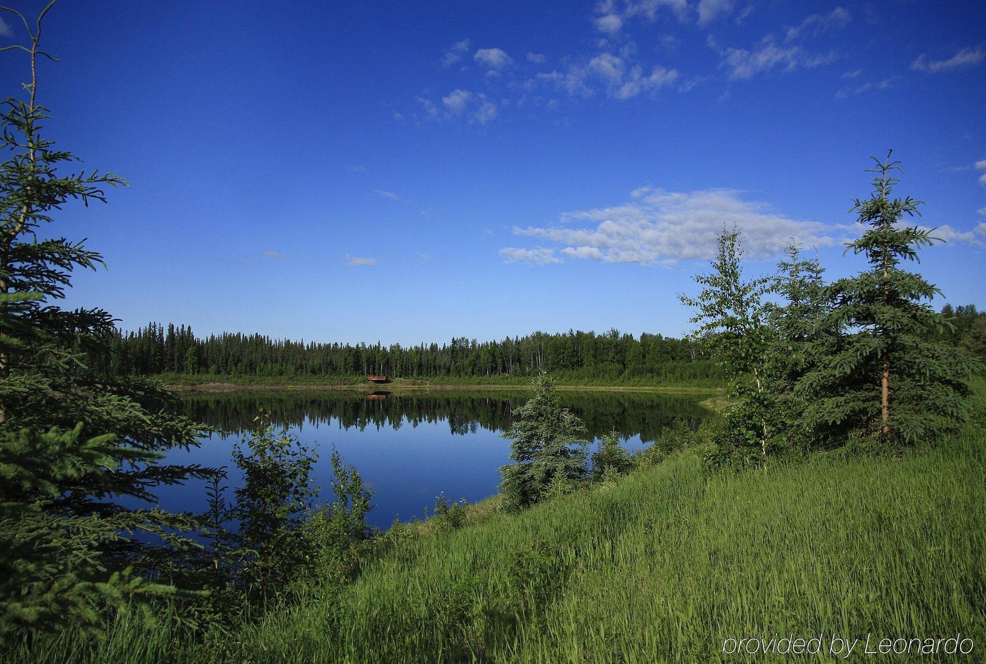 Wedgewood 3* Fairbanks