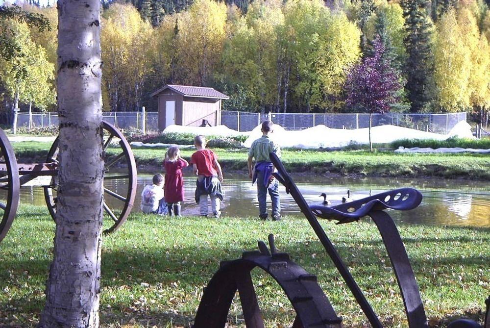 Chena Hot Springs Hotel 2*