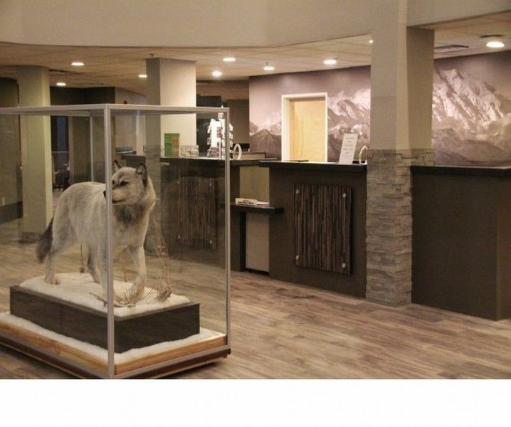 La Quinta By Wyndham Airport 3* Fairbanks