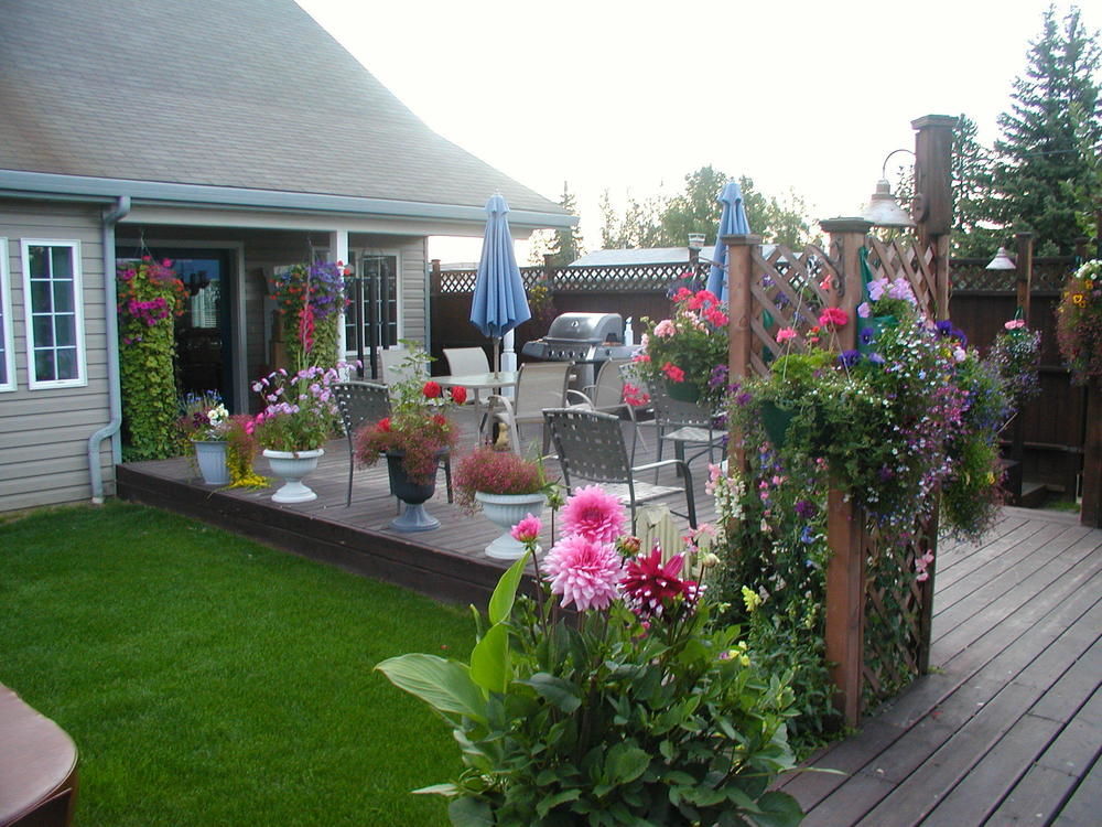 Minnie Street Fairbanks