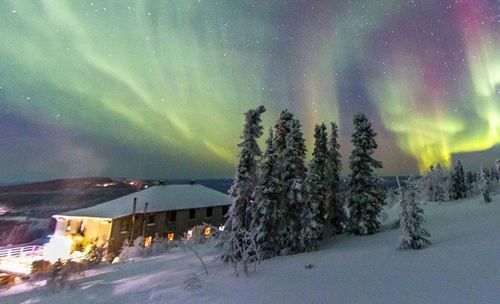 Holiday home Mount Aurora Lodge *