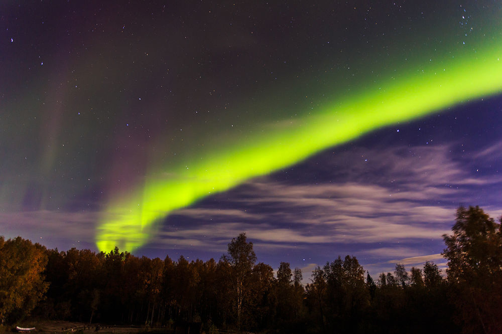 Alaska Grizzly Bed & Breakfast Fairbanks