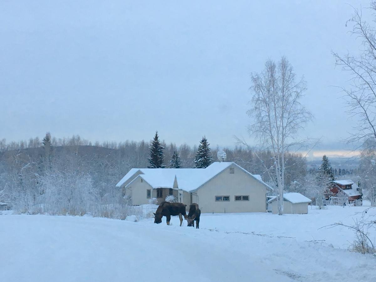 Holiday home Aurora & Denali View