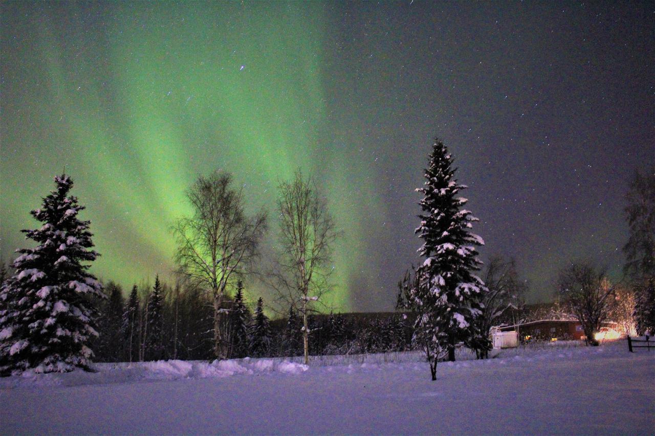 Aurora & Denali View Holiday home
