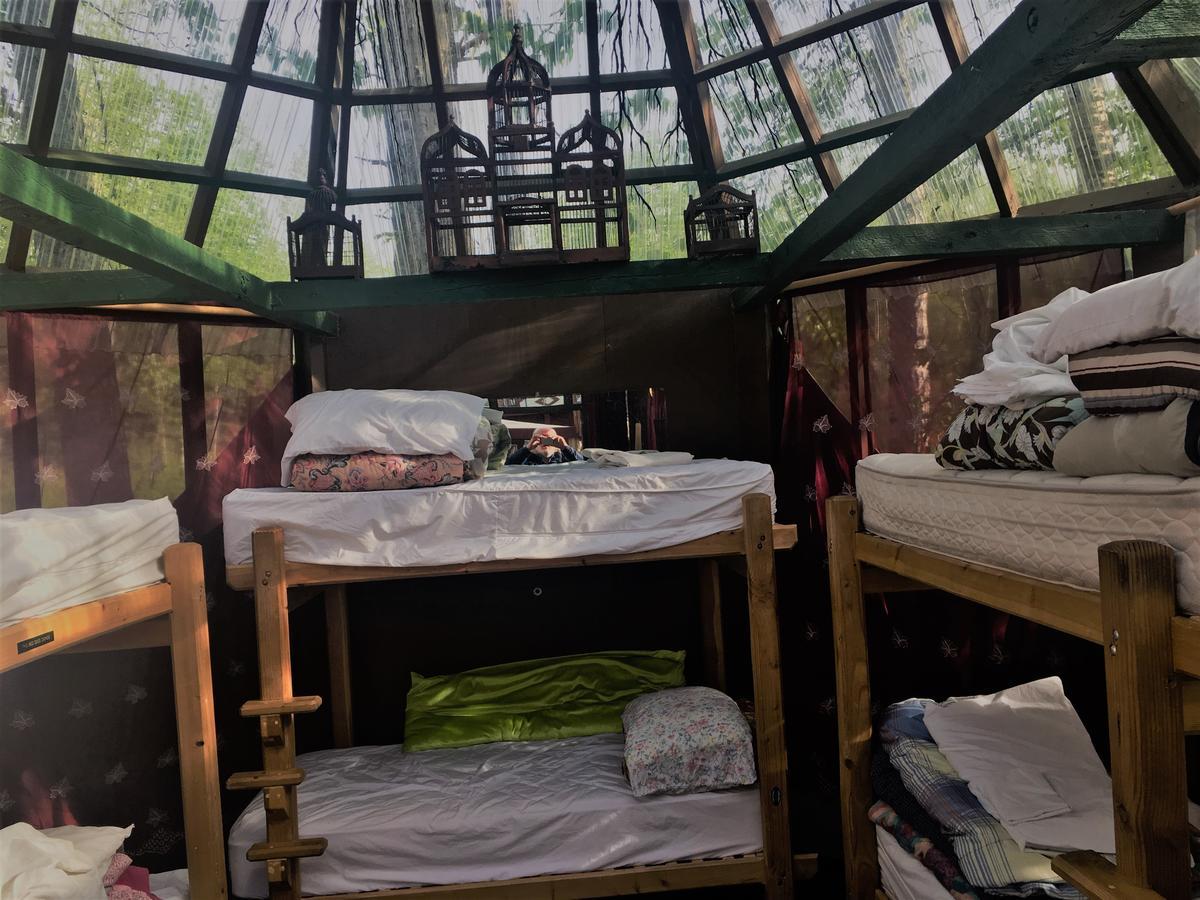 Hostel Billie's Backpackers *