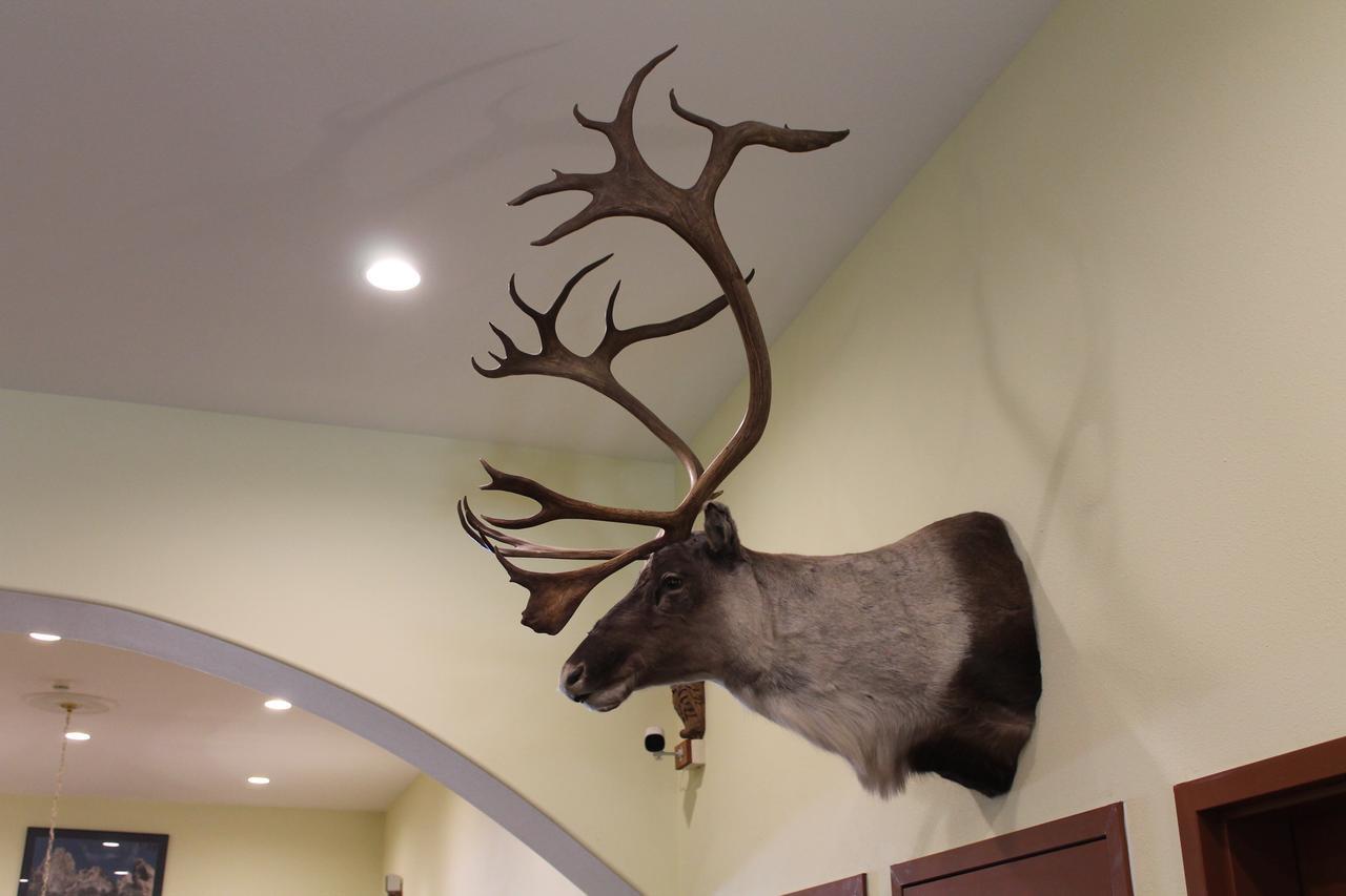 Inn Borealis 2*
