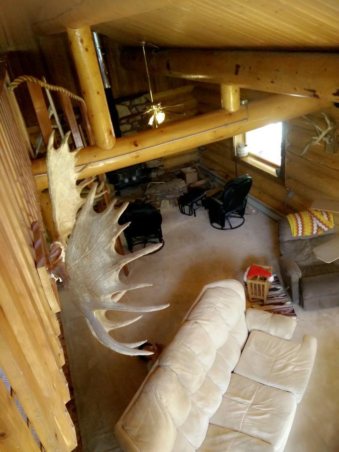 Moose * Fairbanks